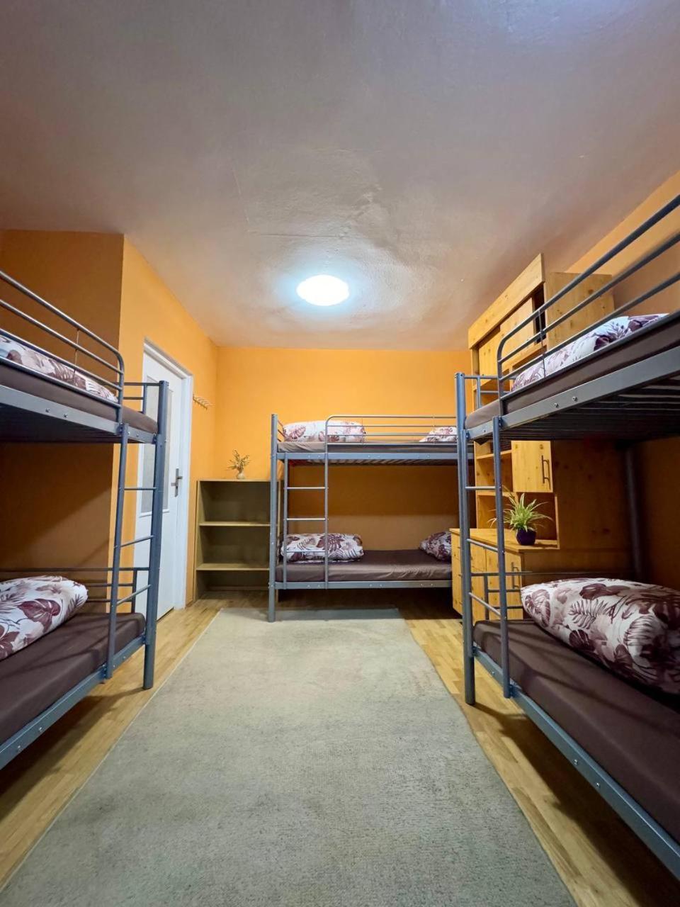 Vector Home وارسو المظهر الخارجي الصورة
