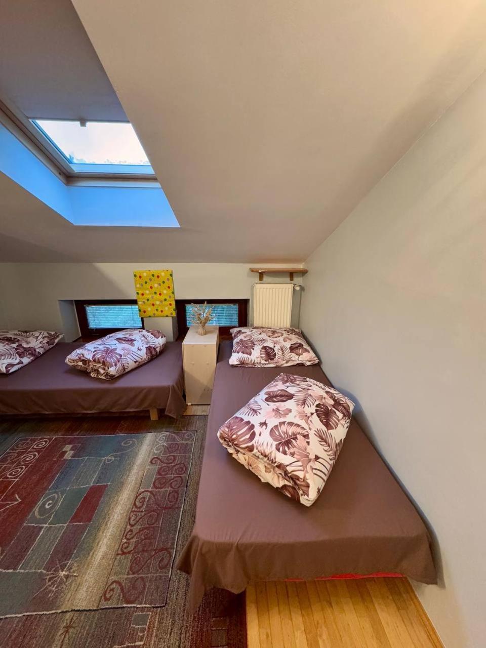 Vector Home وارسو المظهر الخارجي الصورة