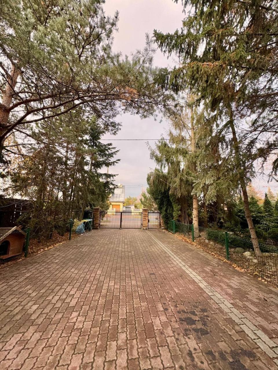 Vector Home وارسو المظهر الخارجي الصورة