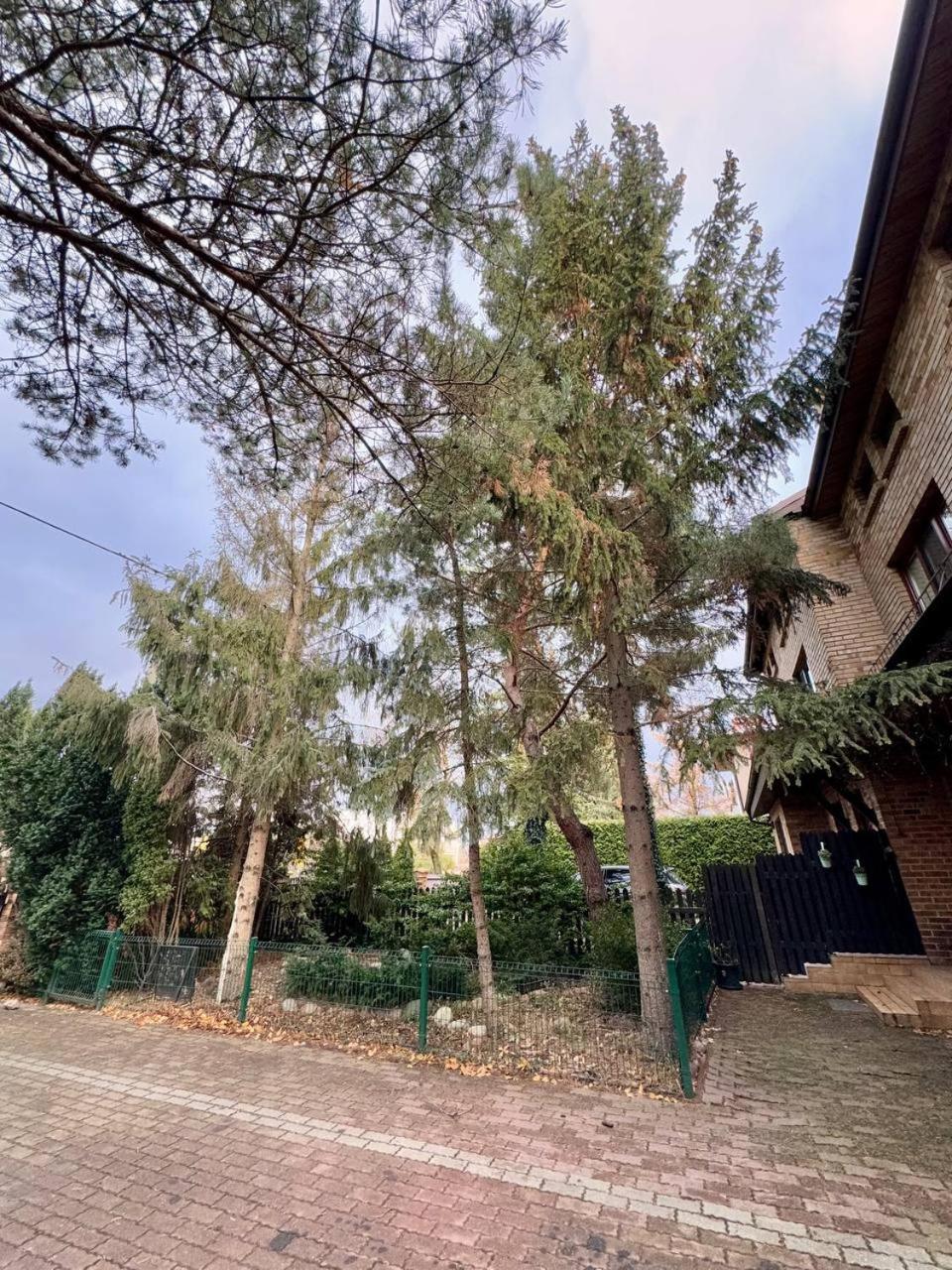Vector Home وارسو المظهر الخارجي الصورة